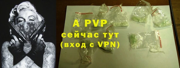 МДПВ Горняк