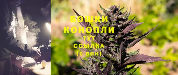 тгк Гусь-Хрустальный