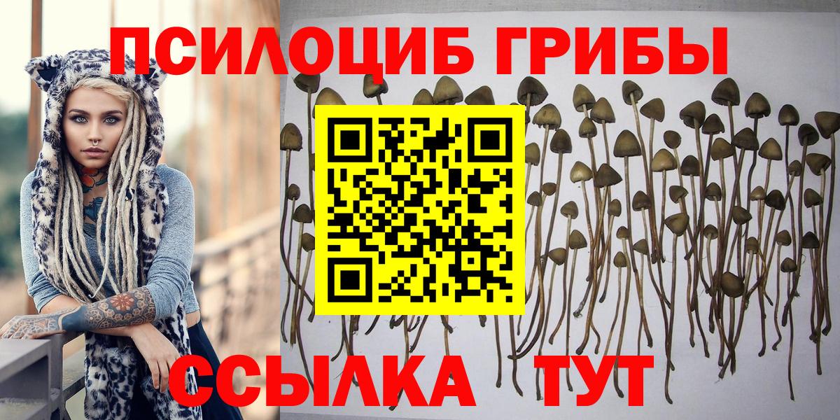 Псилоцибиновые грибы Psilocybine cubensis  Вход с VPN  купить   Нерюнгри 